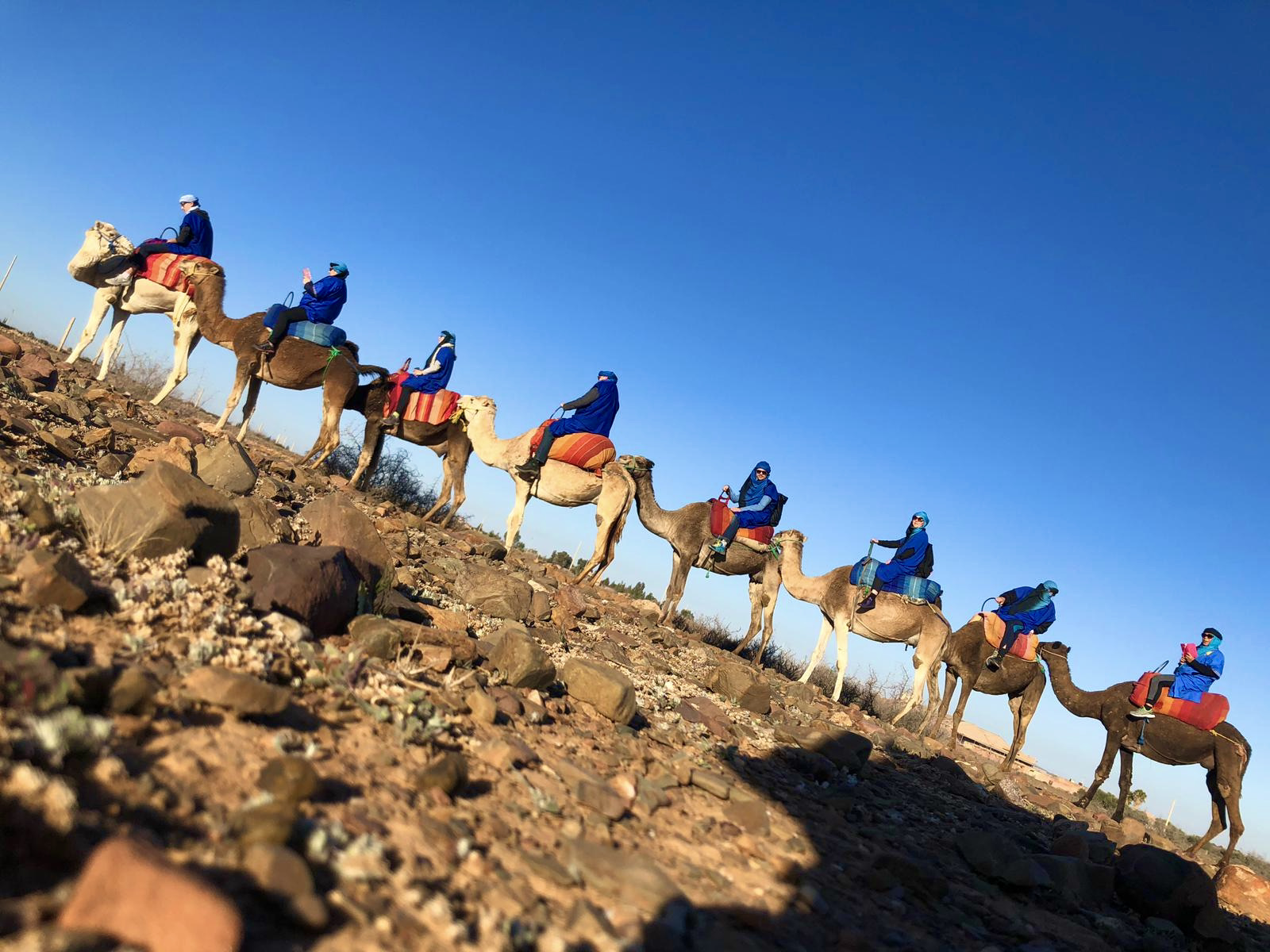 A line of camels carrying riders in blue robes across rocky desert terrain in Morocco
